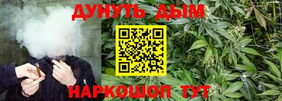 ПСИЛОЦИБИНОВЫЕ ГРИБЫ Донской