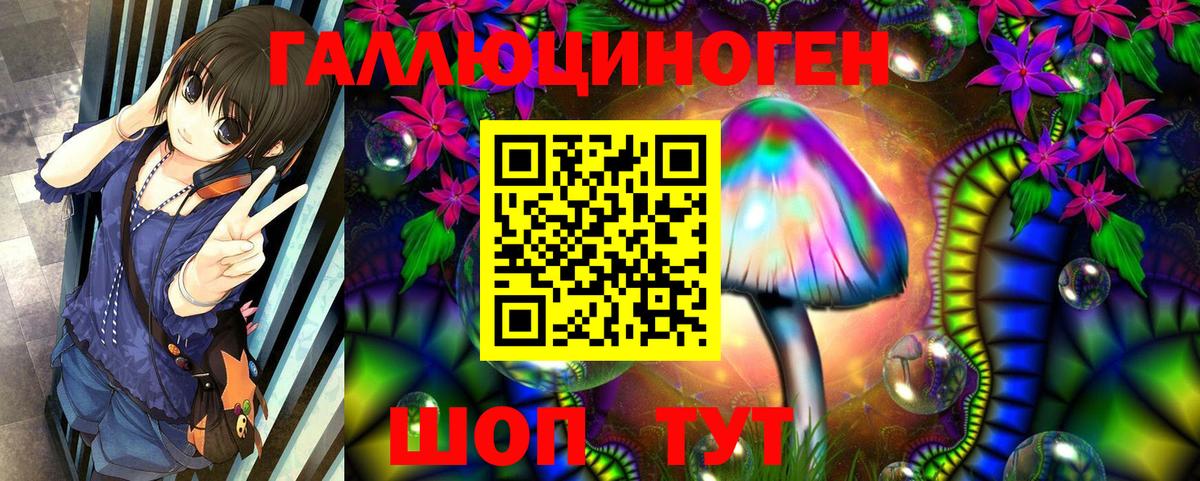 Луга  Псилоцибиновые грибы Cubensis  наркотики  Вход с VPN 