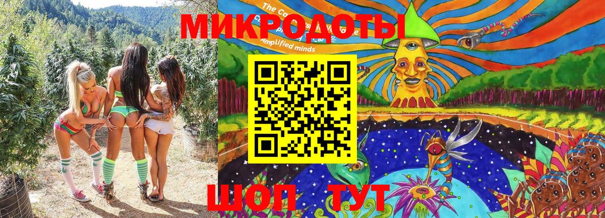 Псилоцибиновые грибы GOLDEN TEACHER Луга